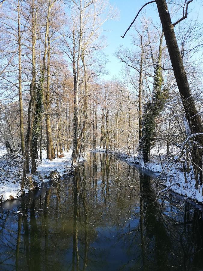 Gruener Wald Apartment Burg Kauper ภายนอก รูปภาพ