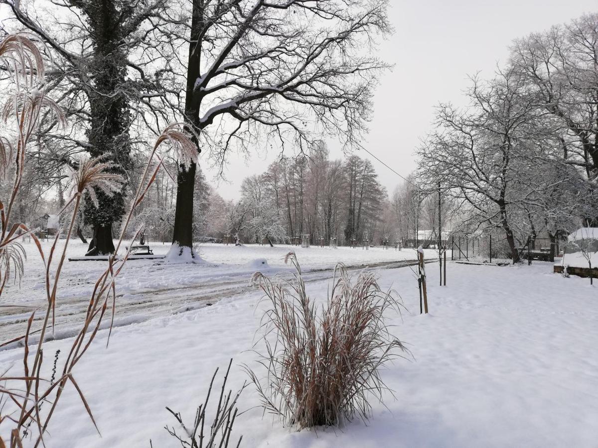 Gruener Wald Apartment Burg Kauper ภายนอก รูปภาพ